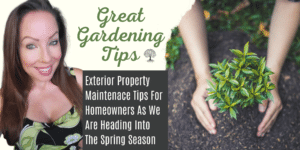 gardening tips for homeowners