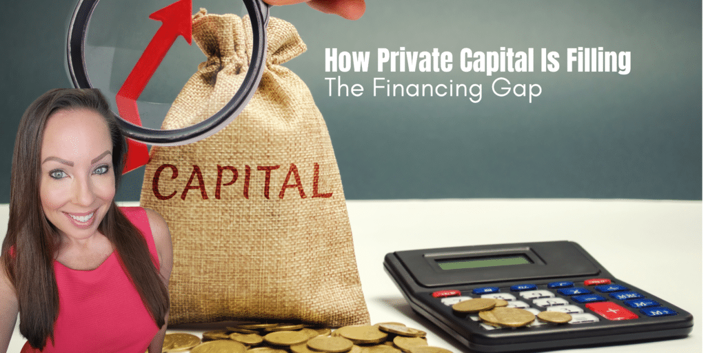 How Private Capital Fills The Financing Gap - Serena Holmes